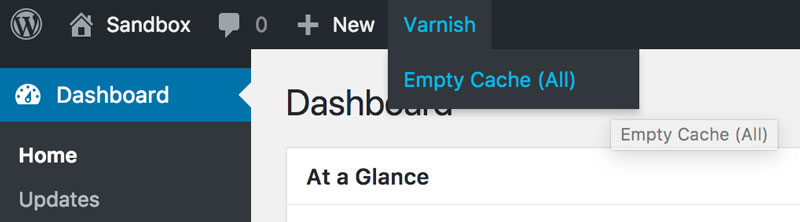 Varnish Empty Cache?