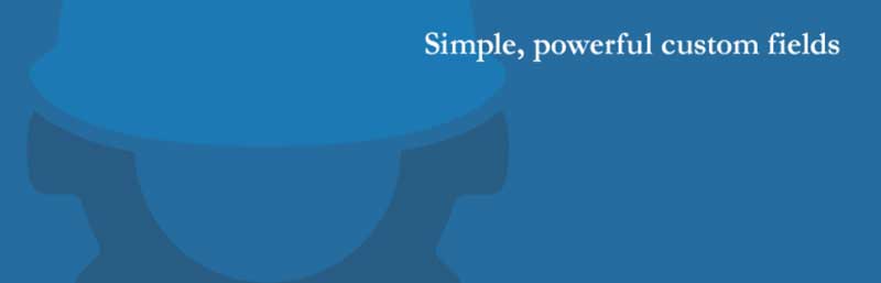 Custom Field Suite Plugin