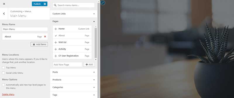 Create a WordPress Sub Menu
