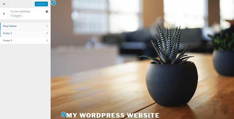WordPress menu - customize widgets