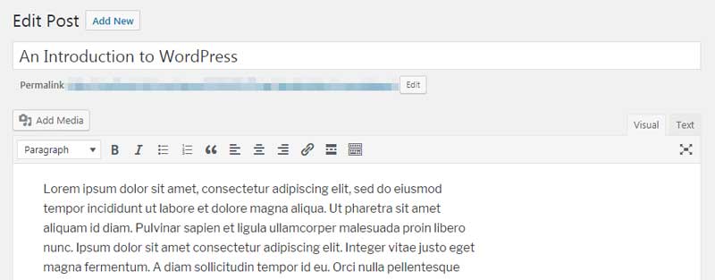 WordPress Options to Format Posts