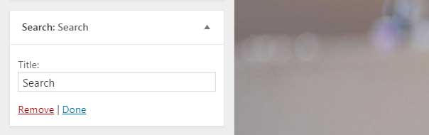 WordPress Sidebar Search Widget Options