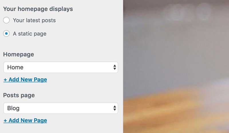 Customizer Static Settings