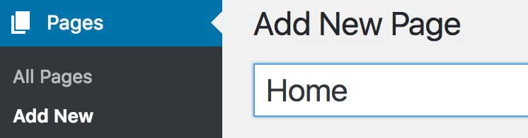 Create Post and Home Page for WordPress