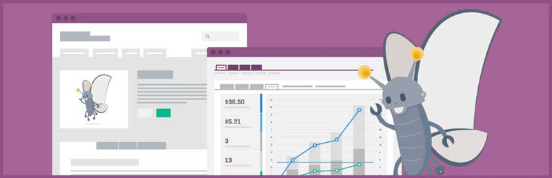 Monetize with Woocommerce