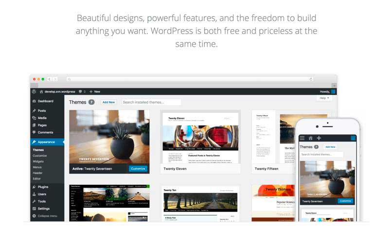 WordPress Theme Options
